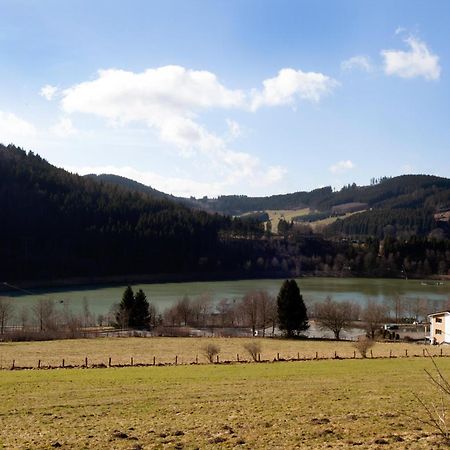 Fewo Hoher Eimberg Niedersfeld Lägenhet Winterberg Exteriör bild