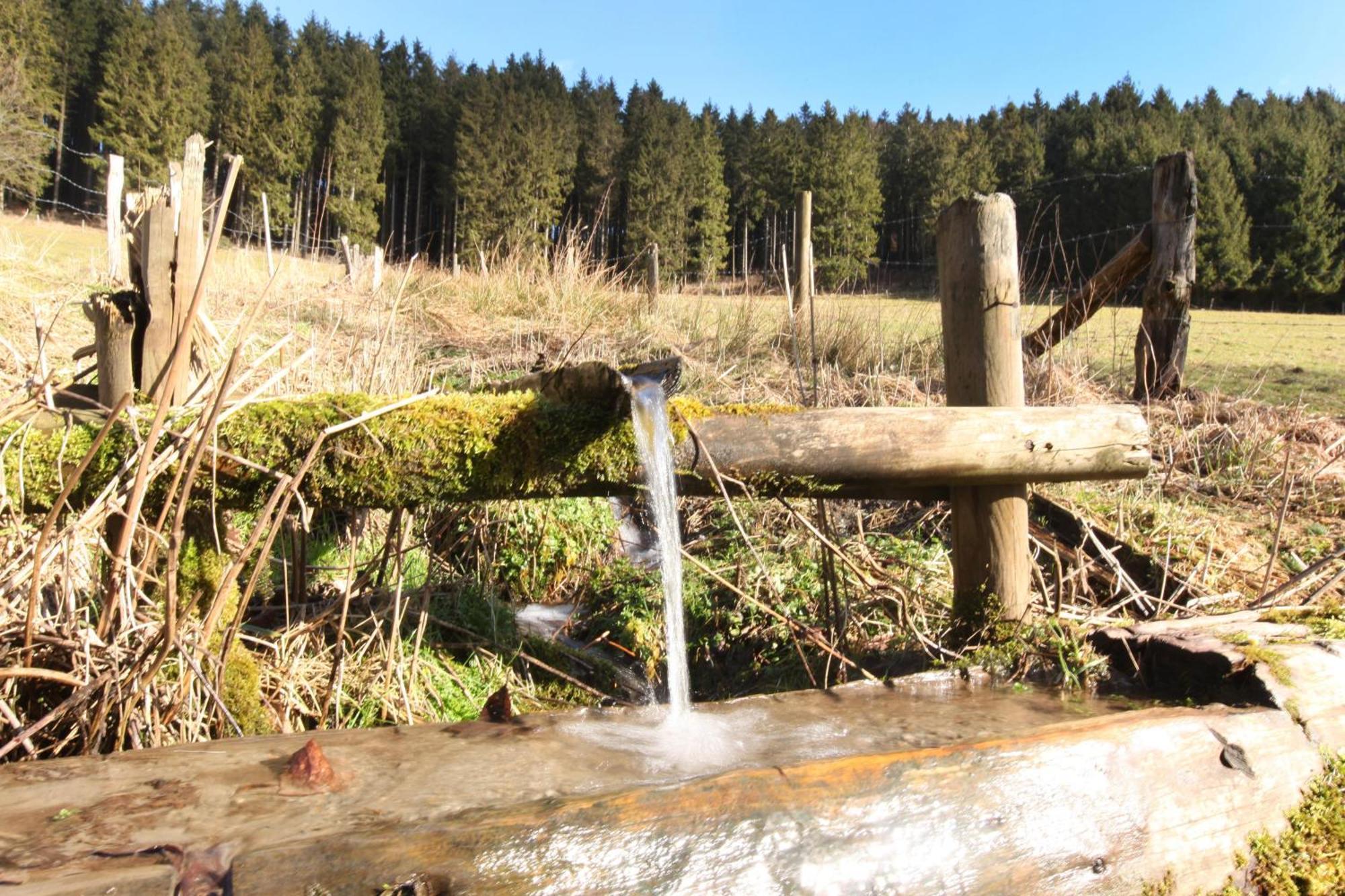 Fewo Hoher Eimberg Niedersfeld Lägenhet Winterberg Exteriör bild
